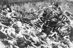 KL Bergen-Belsen – masinis nužudytų kalinių kapas; 1945 m. balandis po stovyklos išlaisvinimo (IPN)