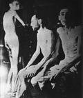 KL Buchenwald – III Reicho vergai – išbadėję kaliniai; 1945 m. balandis po stovyklos išlaisvinimo (IPN)