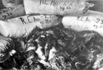 Krūvos maišų su KL Auschwitz-Birkenau nužudytų moterų plaukais. Vokiečiai plaukus supakavo ir paruošė išsiųsti, kad galėtų panaudoti pramonėje; 1945 m. po stovyklos išlaisvinimo (IPN)