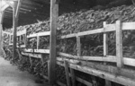 KL Majdanek – apavo stirtos viename iš barakų; 1944 m. liepa po stovyklos išlaisvinimo (IPN)