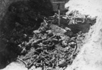 Vienas iš ekshumacijos metu atvertų karstų KL Majdanek; 1944 m. ruduo (IPN)