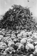 KL Majdanek – aukų kaukolės ir kaulai, iškasti ekshumacijos metu; 1944 m. ruduo (IPN)