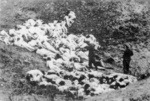 Žydų moterų ir vaikų sušaudymas Mizoče, Volynėje (IPN)